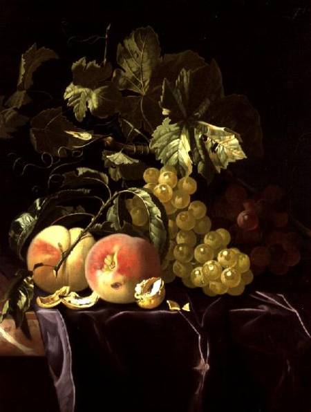 Still Life of fruit, nuts and leaves on velvet cloth from Isaak Denies