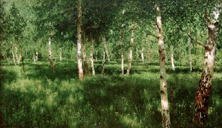 Birch Grove