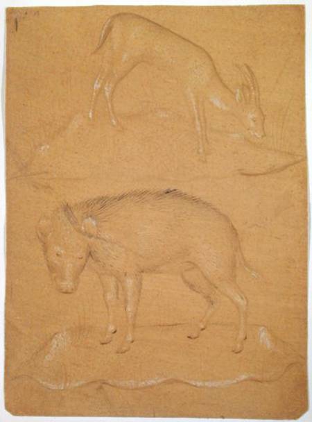 Study of a goat and a boar from Italian pictural school