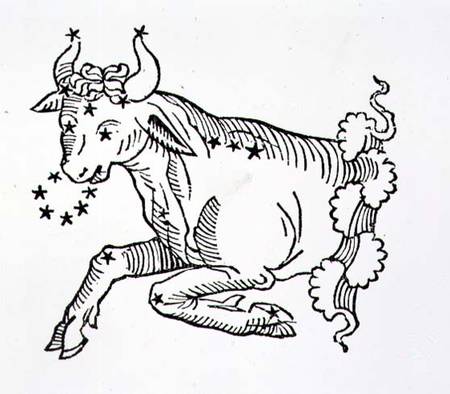 Taurus (the Bull) an illustration from the 'Poeticon Astronomicon' by C.J. Hyginus, Venice from Italian pictural school