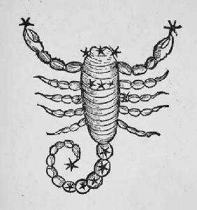 Scorpio (the Scorpion) an illustration from the 'Poeticon Astronomicon' by C.J. Hyginus, Venice