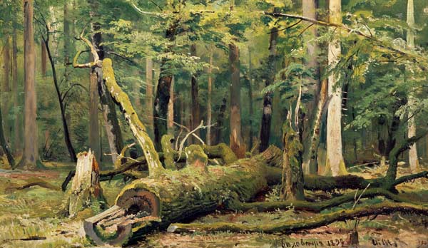 I.I.Zhishkin / Felled Oak / Ptg./ 1892 from Iwan Iwanowitsch Schischkin
