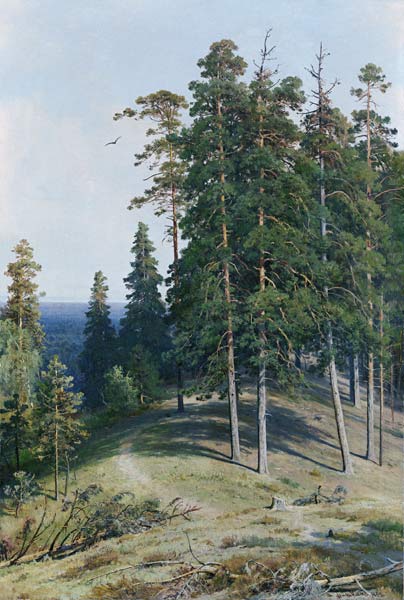 The Pine Forest from Iwan Iwanowitsch Schischkin