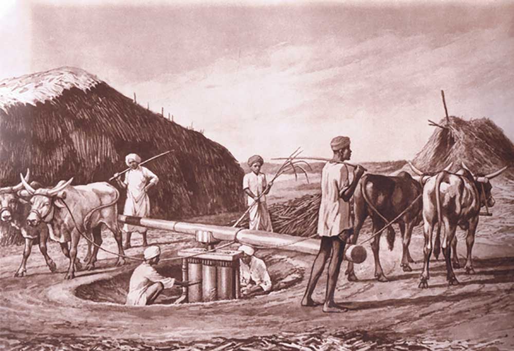 Native method of crushing sugar cane in India, from MacMillan school posters, c.1950-60s from J. Macfarlane