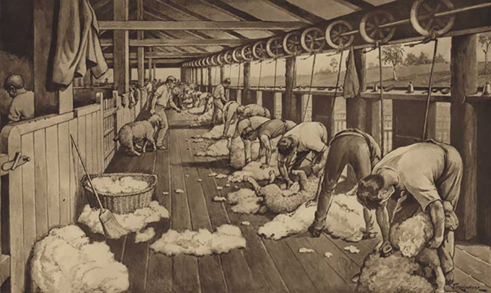 Sheep-shearing in Australia from J. Macfarlane