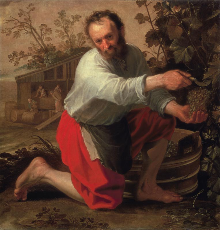 Vine Grower from Jacob Cuyp