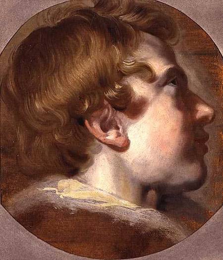 Head of a Young Boy from Jacob Jordaens
