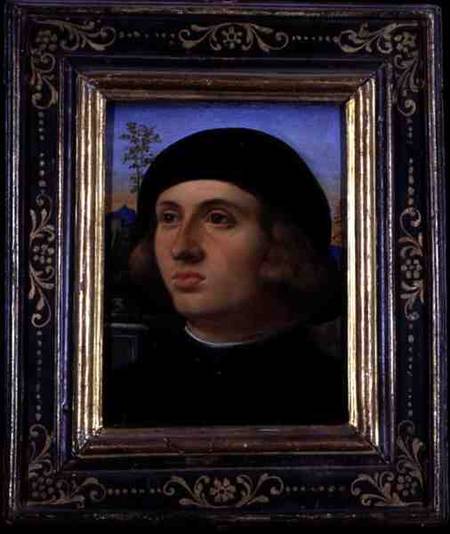 Portrait of a Young Man from Jacopo Palma il Giovane
