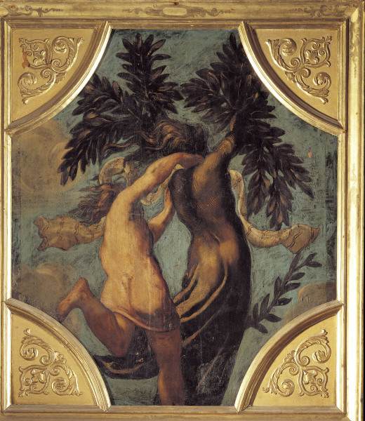 Tintoretto / Apollo and Daphne from Jacopo Robusti Tintoretto