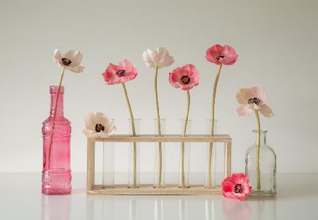 Poppies in Glass
