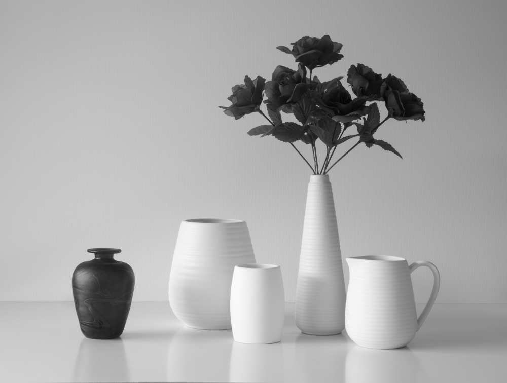 Still Life in Black and White from Jacqueline Hammer