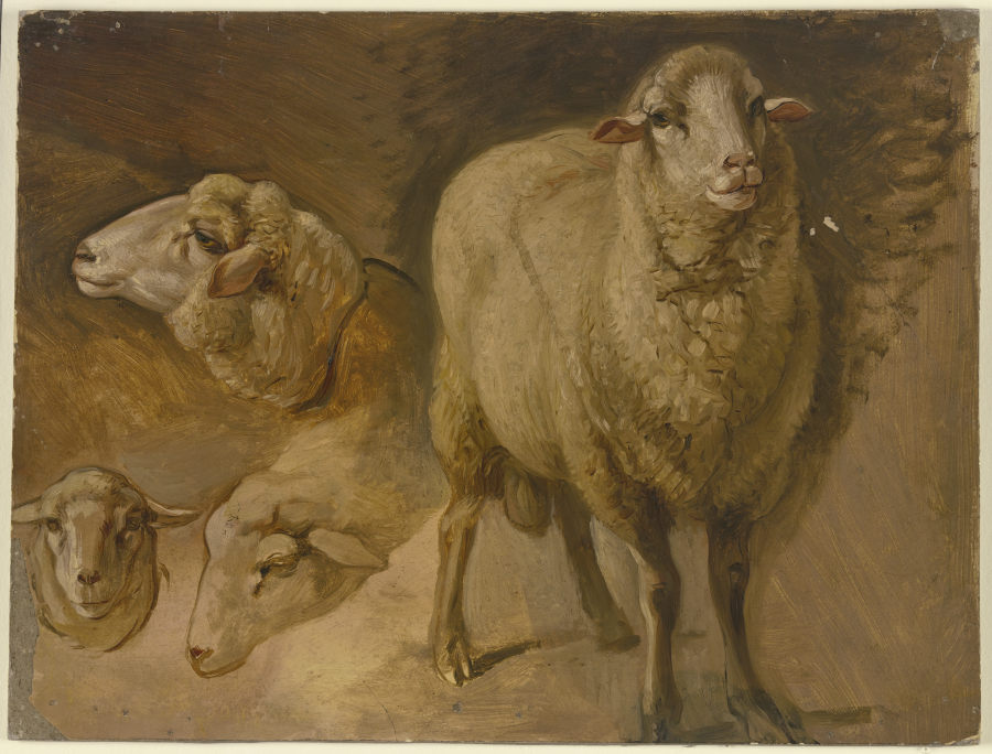 Sheep from Jakob Becker