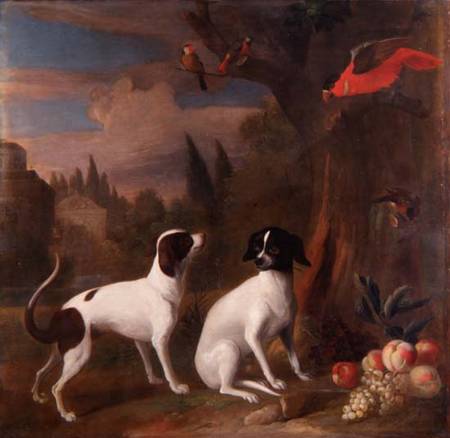 Two Dogs in a Landscape from Jakob Bogdani or Bogdany