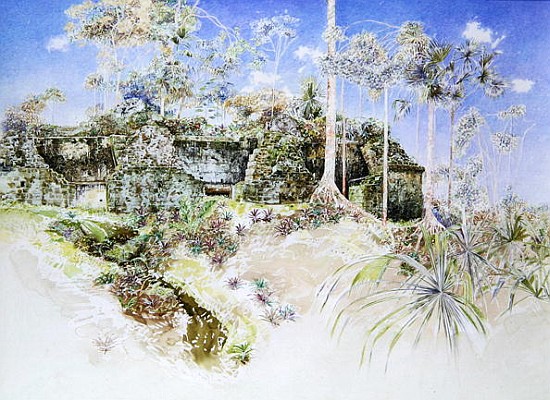 Ruined Temple, Tikal, Guatemala, 1984 (w/c on paper)  from  James  Reeve