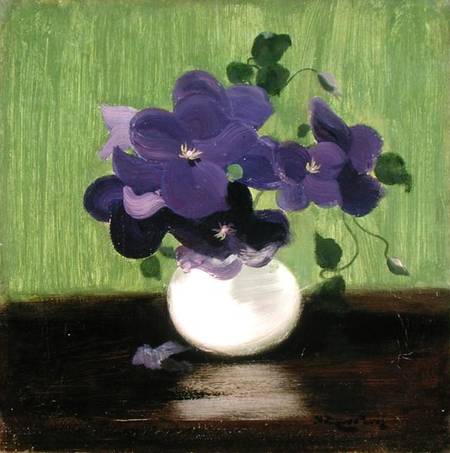 Violets from James Stuart Park