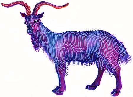 Goat Capricorn
