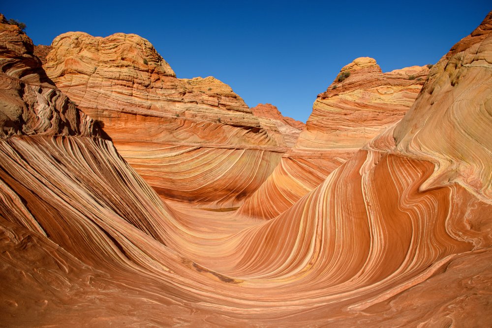 The Wave - Coyote Buttes North from Janez Šmitek