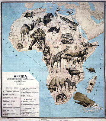 Map of animals in Africa (colour engraving) Sf from Janos Balint