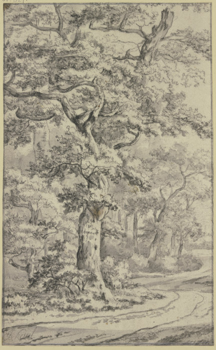 Path next to oak trees from Jan van Kessel