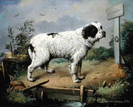 A Newfoundland on an Embankment from Jean-Baptiste Desgrange