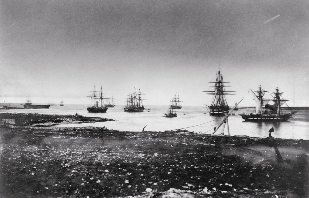 Crimean war, French squadron, entry into the port, 1855 (b/w photo)  from Jean Baptiste Henri Durand-Brager