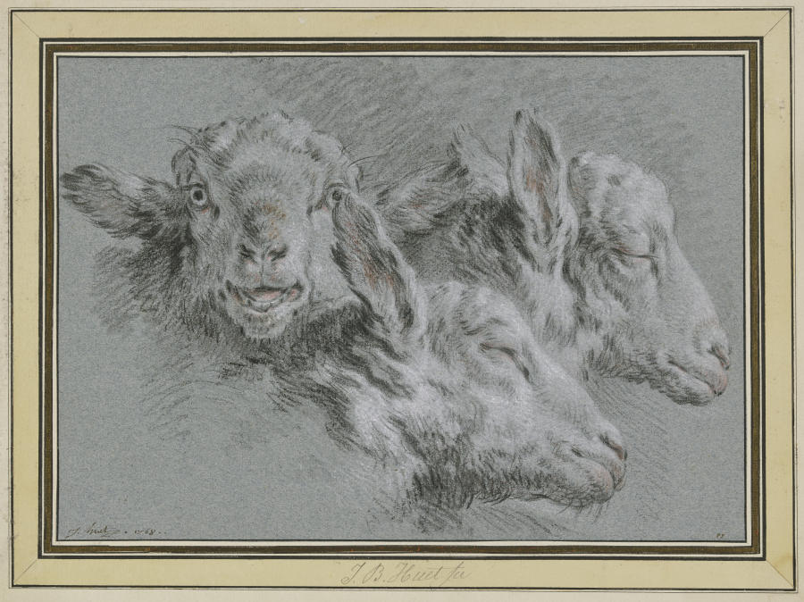 Drei Schafsköpfe, wachend und schlafend from Jean-Baptiste Huet