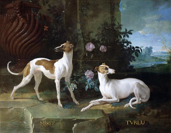 Misse and Turlu, two greyhounds of Louis XV from Jean Baptiste Oudry