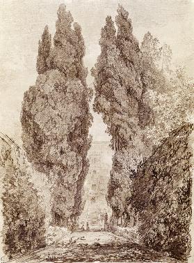 Large Cypresses at the Villa d''Este
