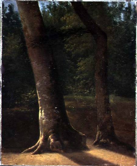Study of Trees from Jean Victor Bertin