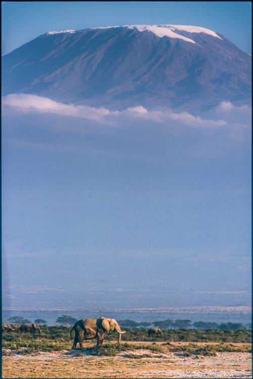 Kilimanjaro and the quiet sentinels from Jeffrey C. Sink