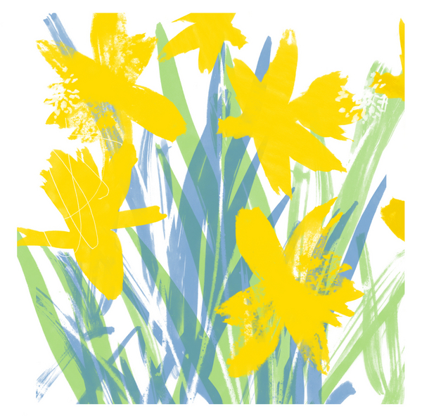 Spring Daffodils from Jenny Frean
