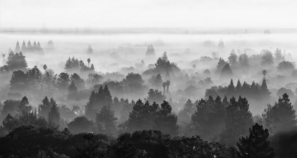 Misty Valley from Jenny Qiu