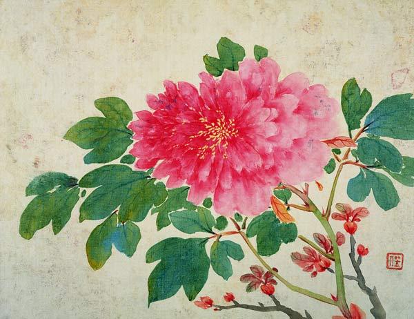Painting of Peonies, from the 'Album of Paintings of Flowers, Fruits, Birds and Animals'