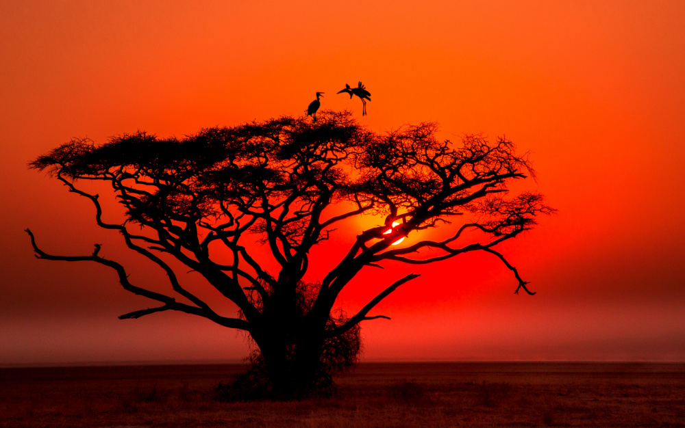 Africa sunset from Jie Jin