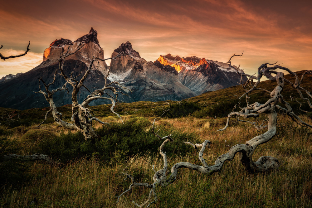 Torres Del Paine in sunrise from Jie Jin