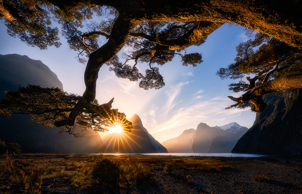 Sunny Day in Milford Sound from Jingshu Zhu