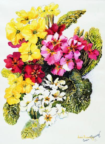 Primroses,White,Yellow,Pink and Red