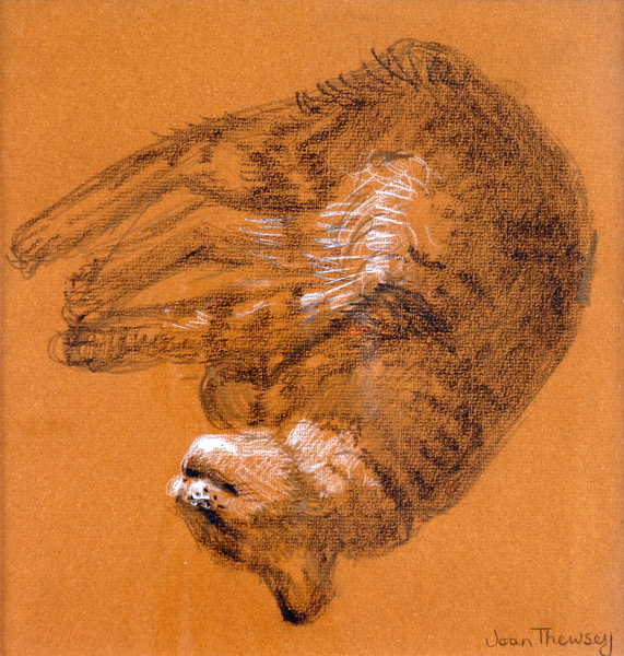 Sleeping Tabby Cat from Joan  Thewsey