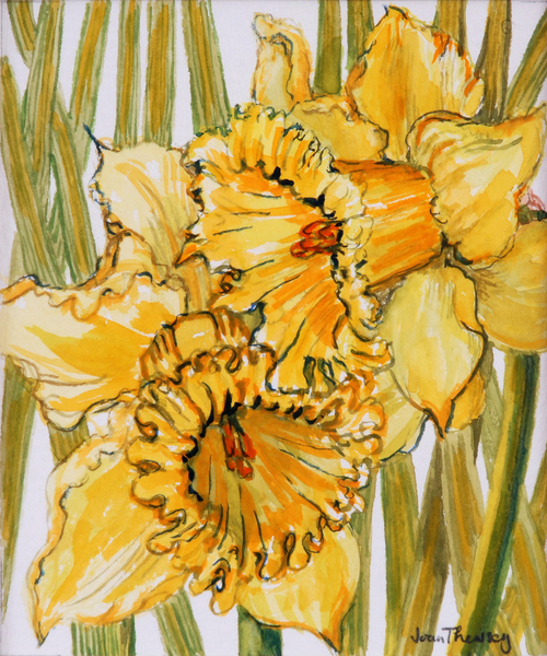 Two Daffodils from Joan  Thewsey