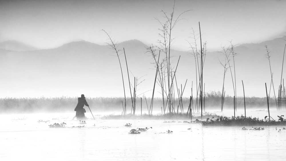 Fishing in a misty morning from Joe B N