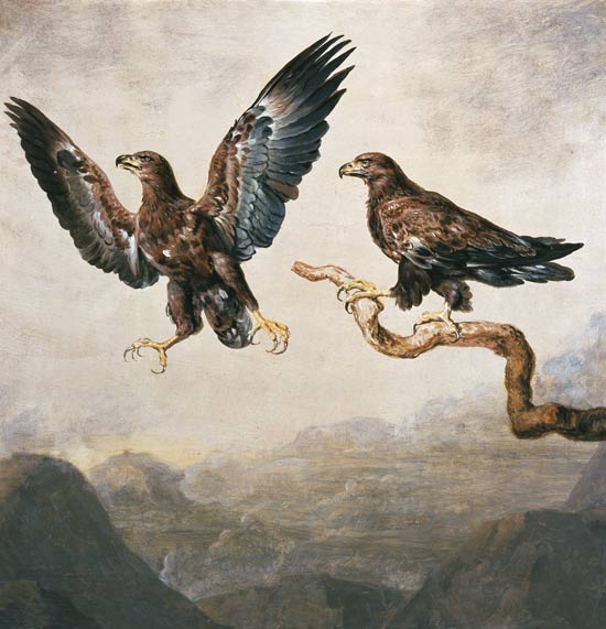 Eagle from Joh. Heinrich Wilhelm Tischbein