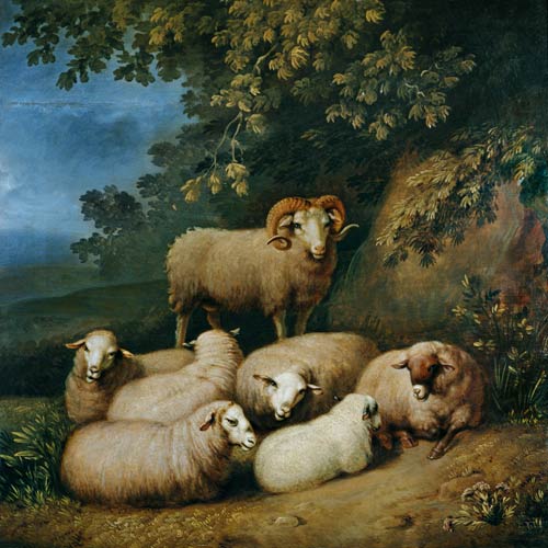 Sheep with ram from Joh. Heinrich Wilhelm Tischbein