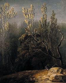 Landscape with poplars