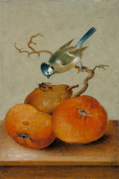 Fruchtstück mit Meise und Biene. from Johann Conrad Seekatz