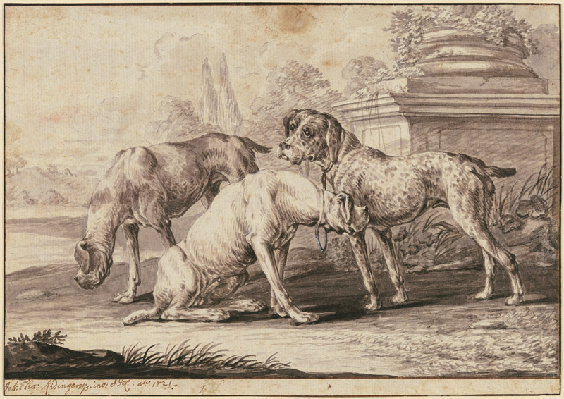 Three hunting dogs from Johann Elias Ridinger