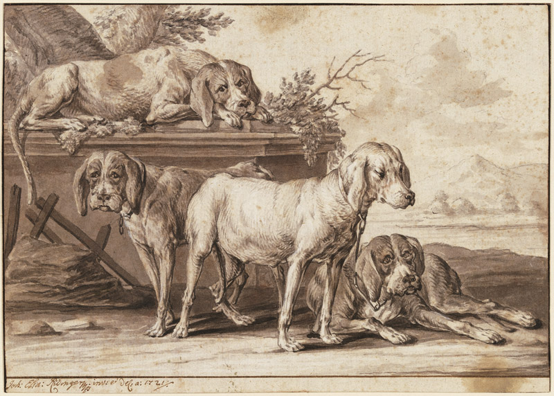 Four hunting dogs from Johann Elias Ridinger