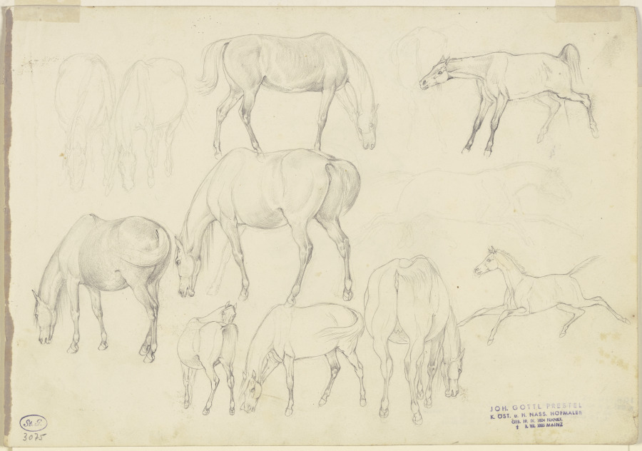 Study sheet: Horses from Johann Erdmann Gottlieb Prestel