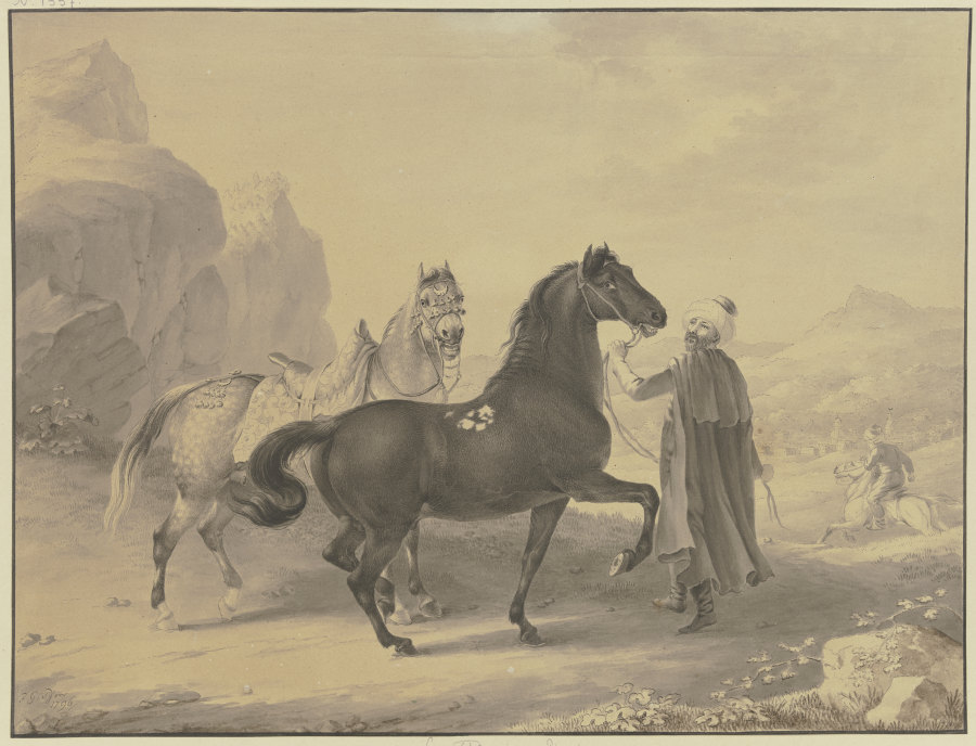Turkish horses from Johann Georg Pforr
