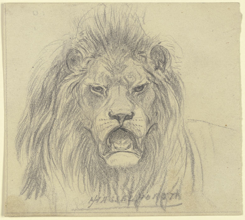 Lions head from Johann Heinrich Hasselhorst