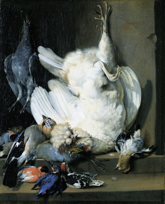 Still Life with Dead Poultry from Johann Heinrich Roos